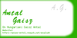 antal gaisz business card